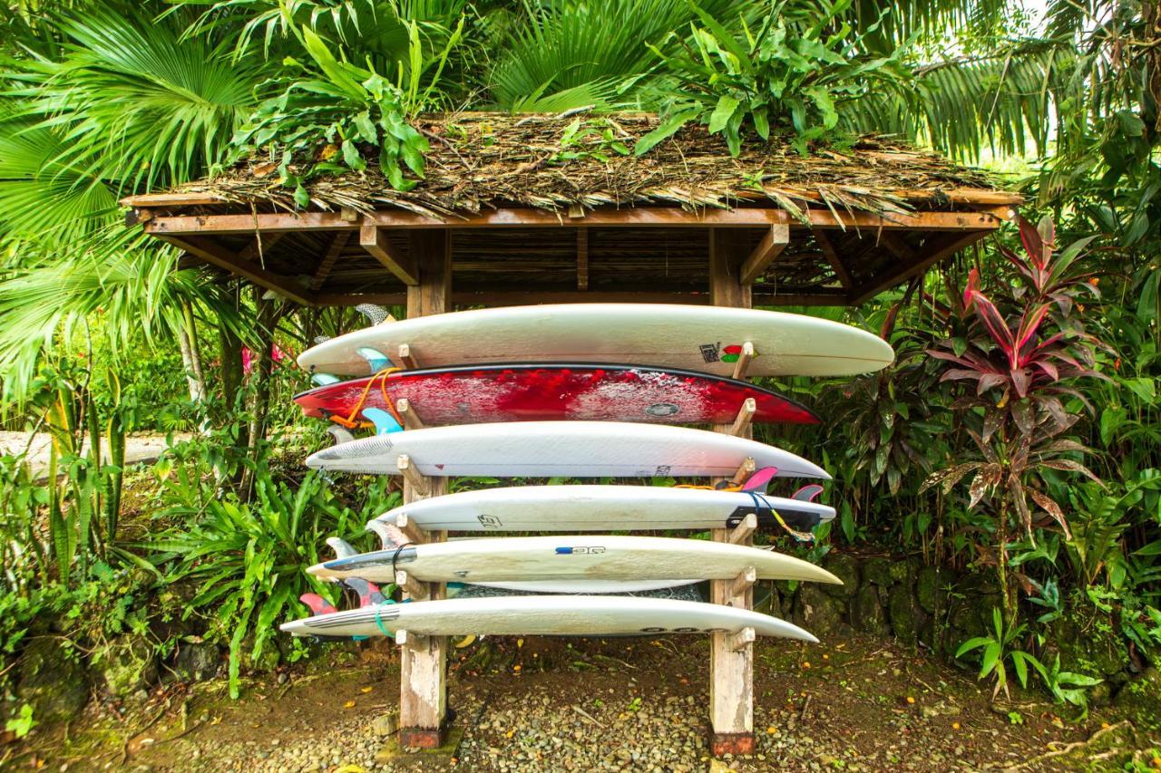 La Coralina Island House Hotell Bocas del Toro Exteriör bild