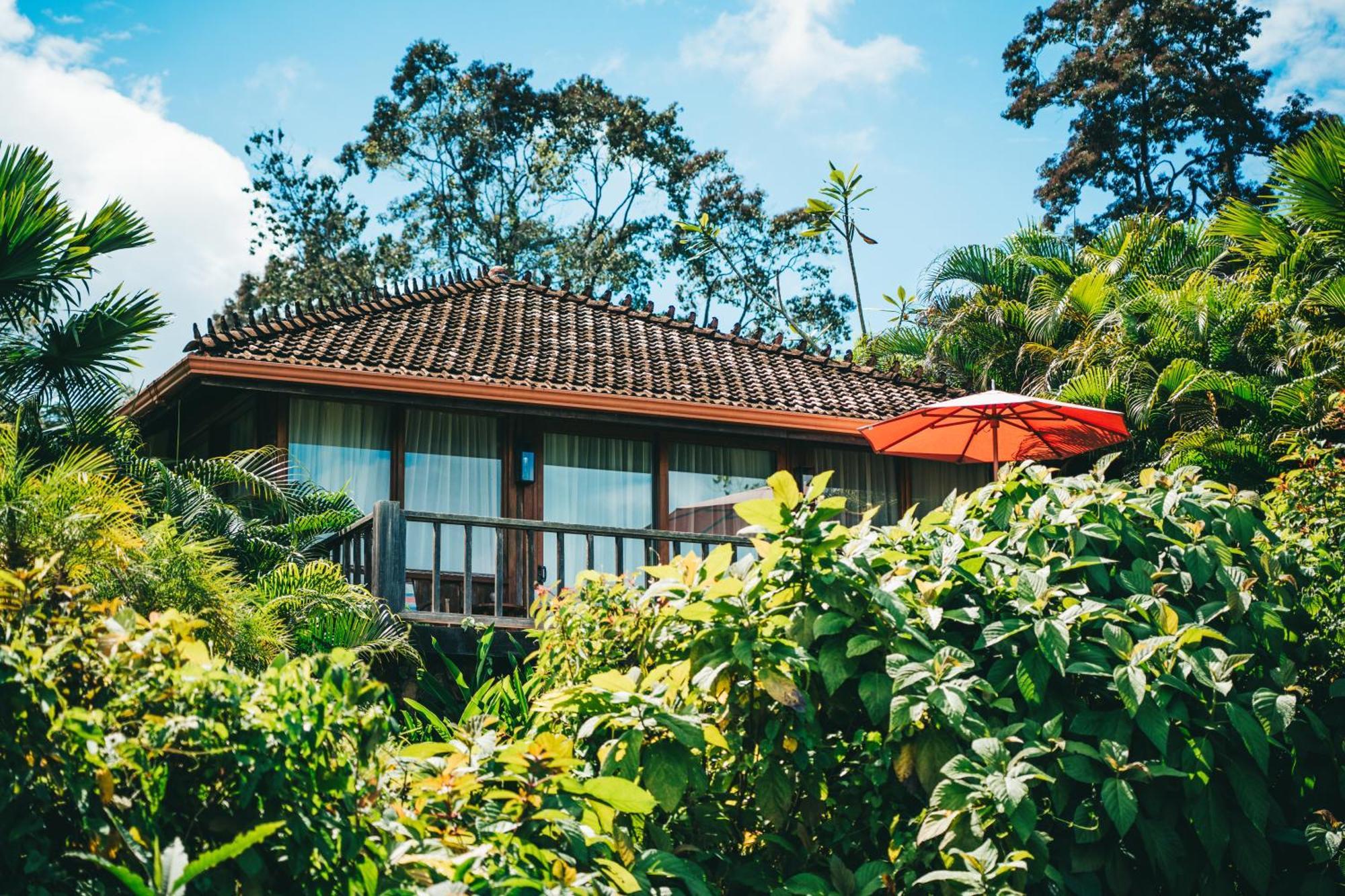 La Coralina Island House Hotell Bocas del Toro Exteriör bild